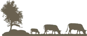 Logo de la Maison Godet en noir et représentant 3 vaches sous un arbre